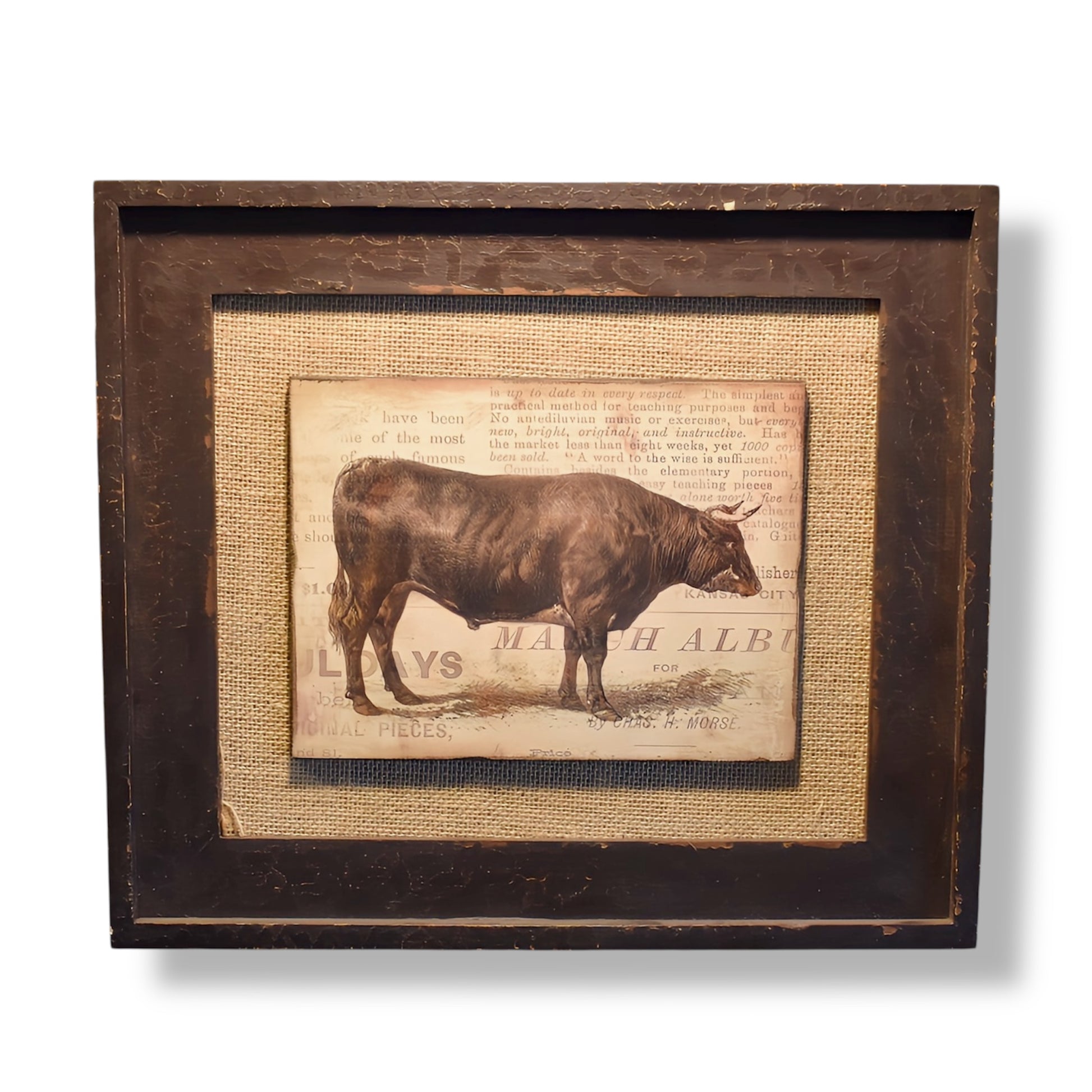 Cow Framed Art Print