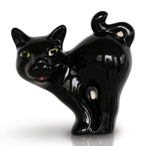 scaredy cat mini
