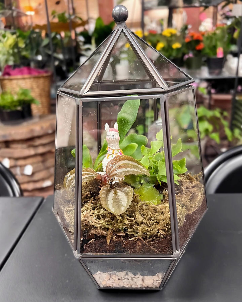 Bioactive Terrarium Workshop at White Box Studio