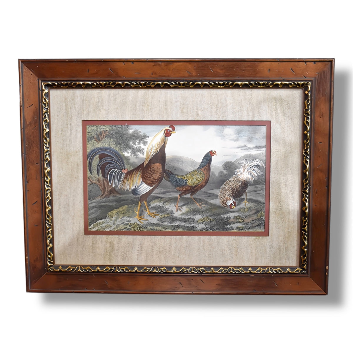 Chickens & Hens Framed Art Print