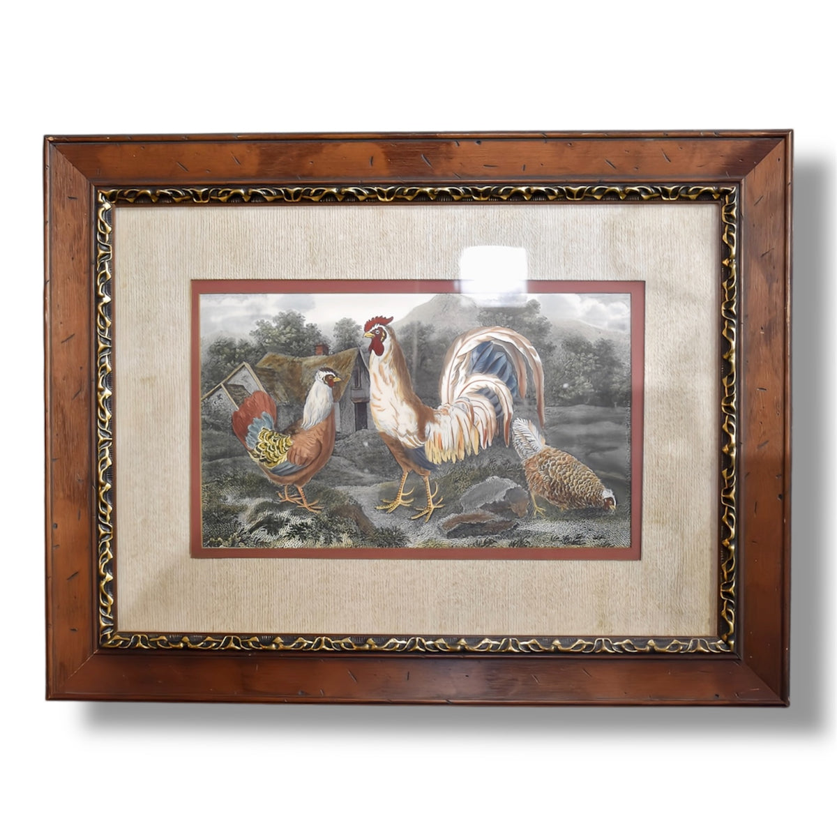 Chickens & Hens Framed Art Print V.2