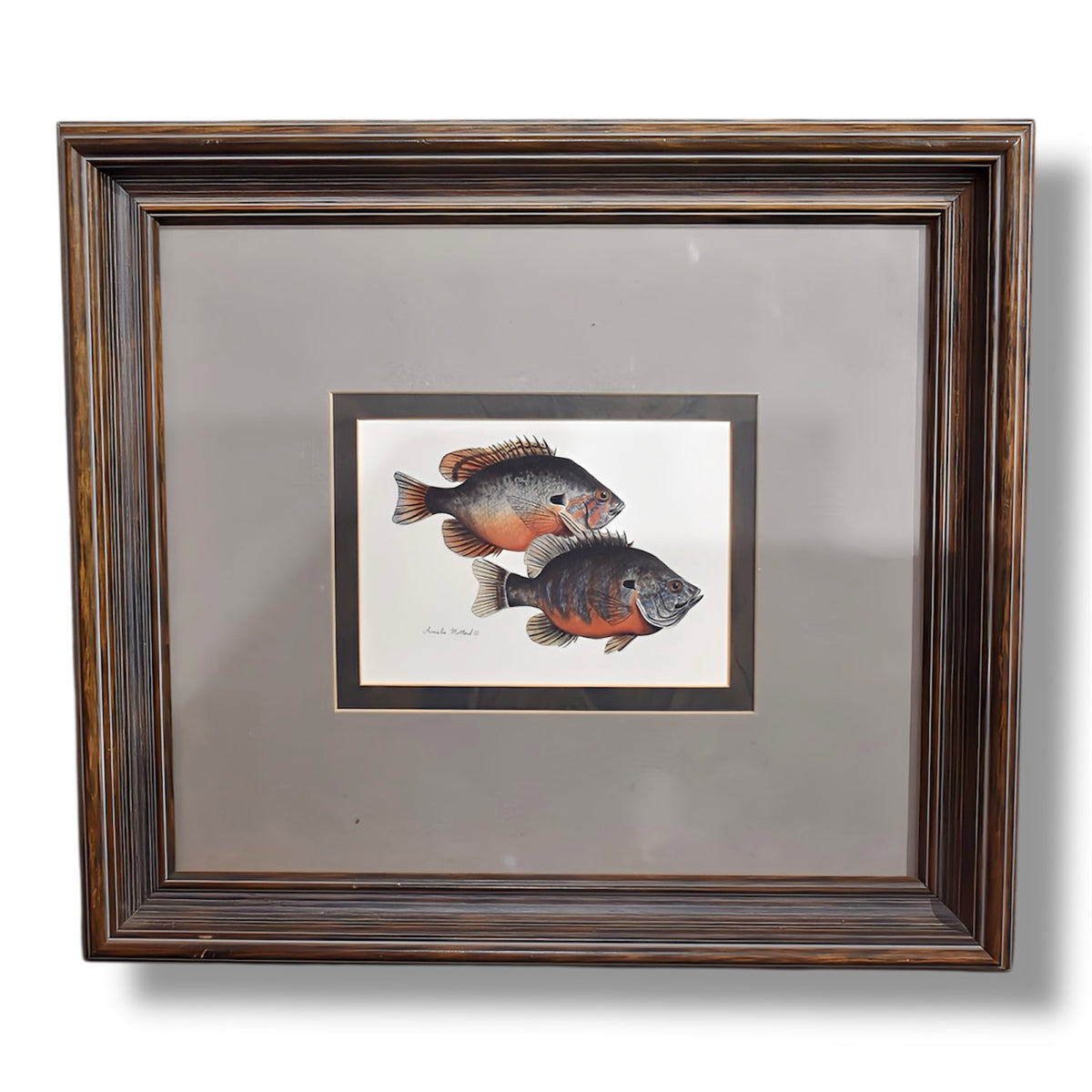 Stream Unlimited Fish Framed Art Print