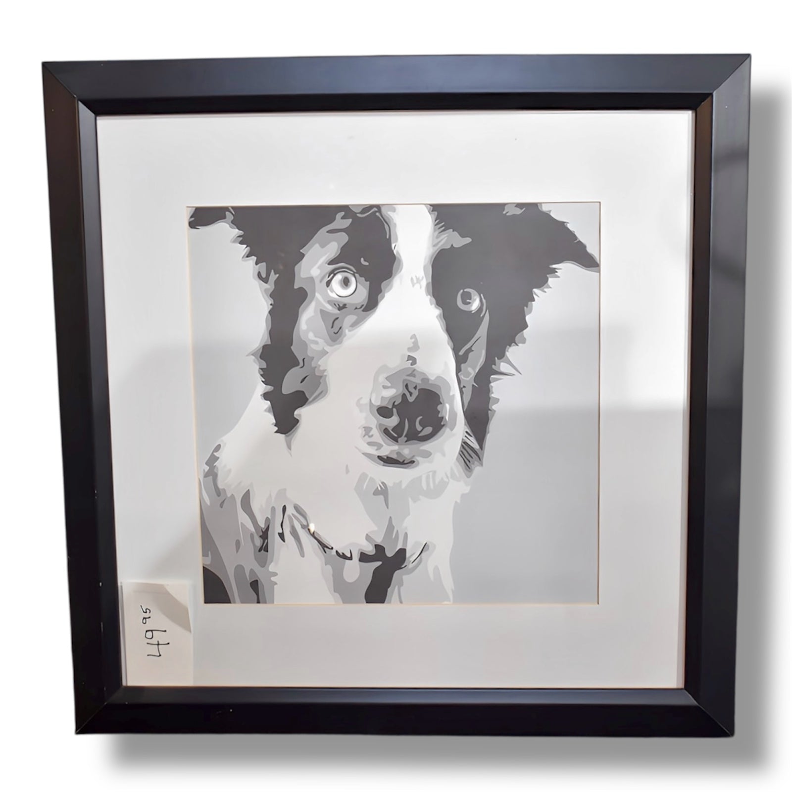 Border Collie Framed Art Print