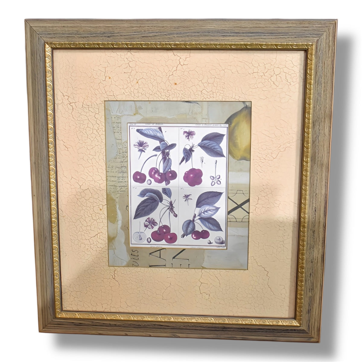 Vintage Cherry Framed Art Print