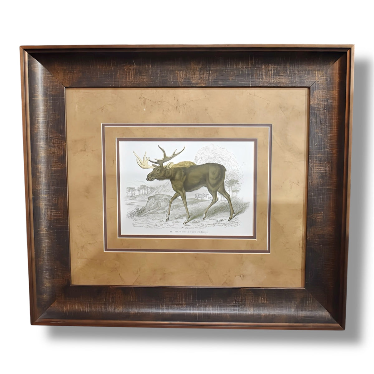 Rustic Moose Framed Art Print