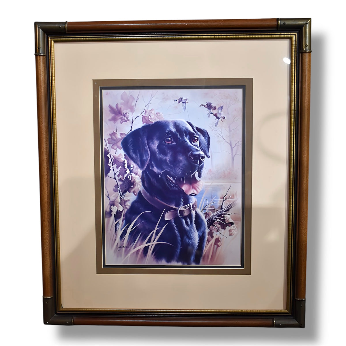Lab Portrait Framed Art Print