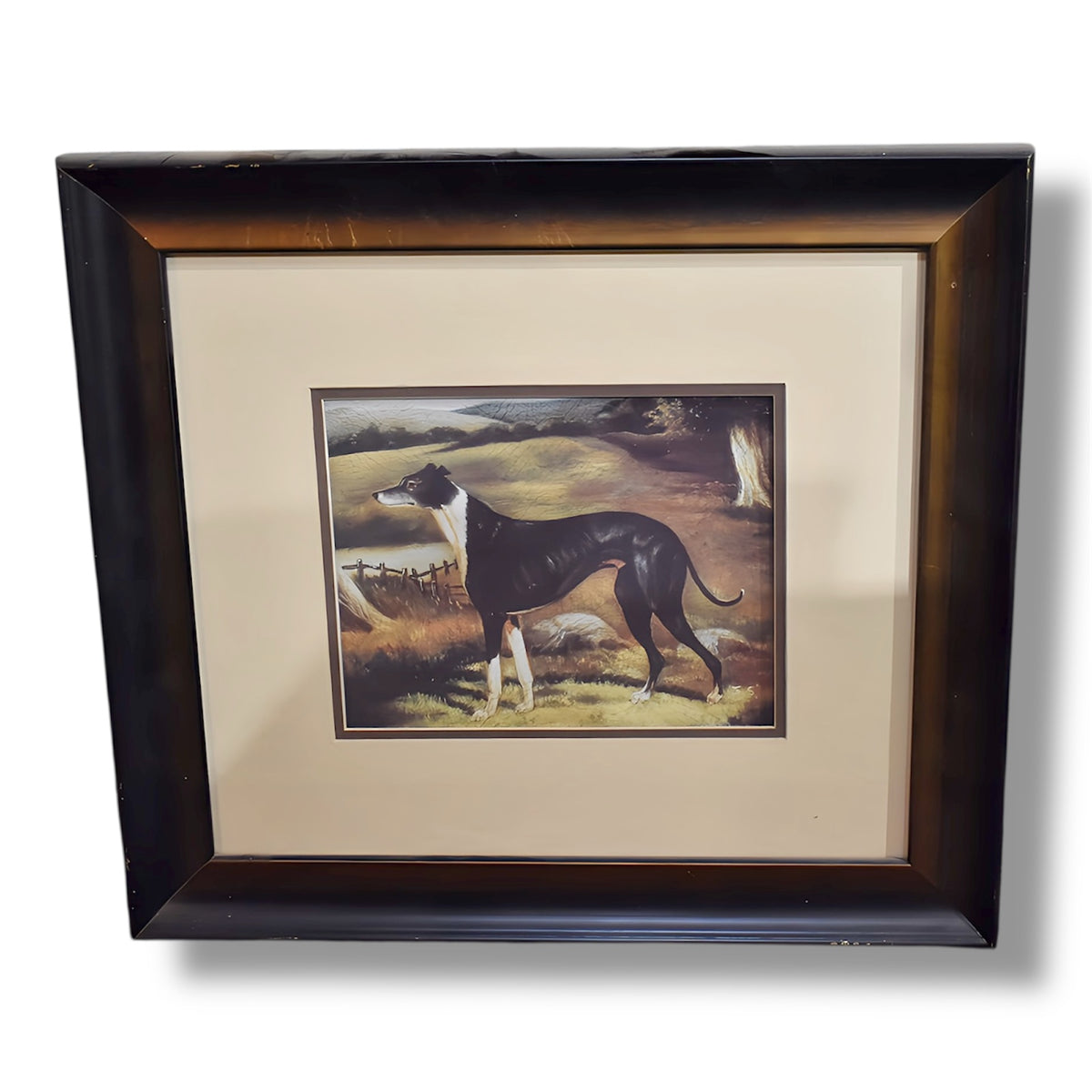 Whippets Greyhound Framed Art Print