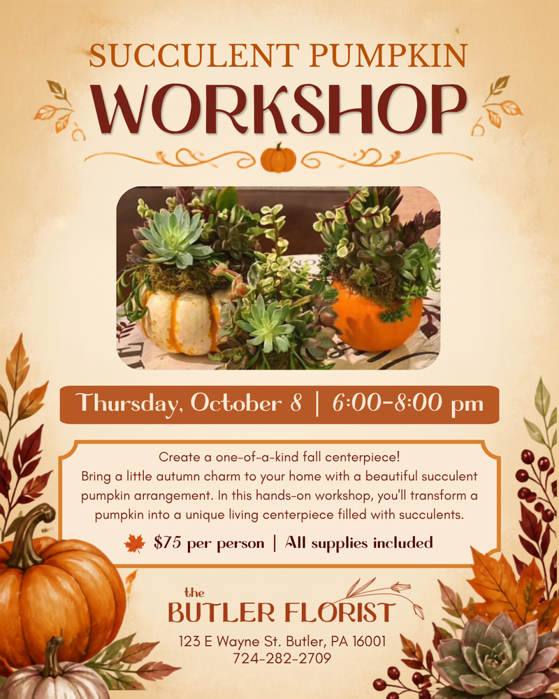 Succulent Pumpkin Workshop