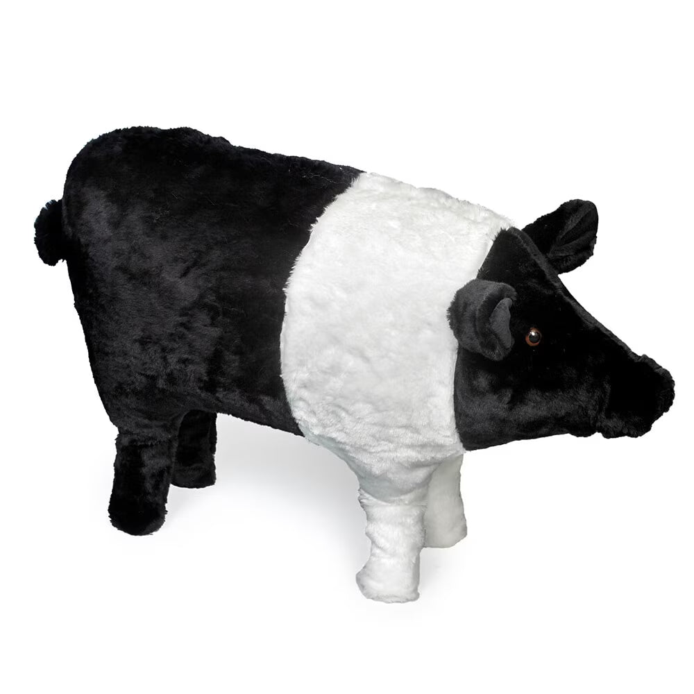 Hampshire Pig Footrest