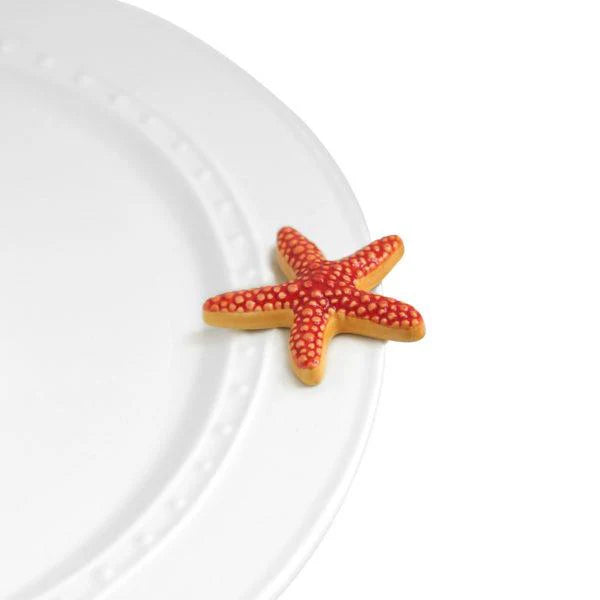 sea star mini